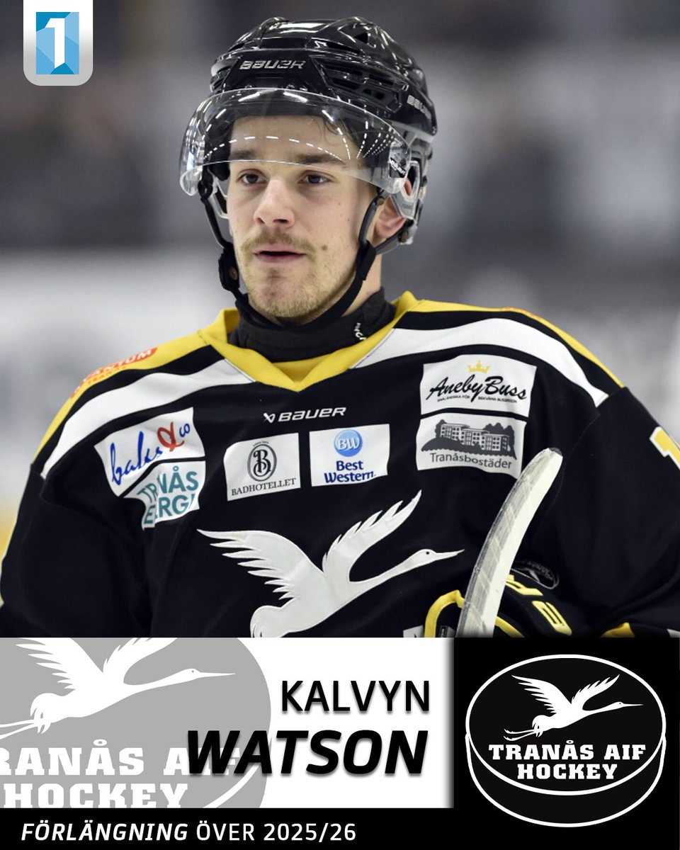 Hockeyettan tweet media