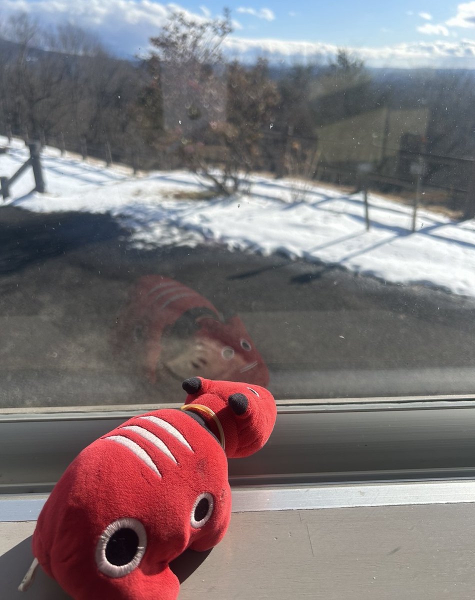 福島ゆか けっぱって東北 tweet media