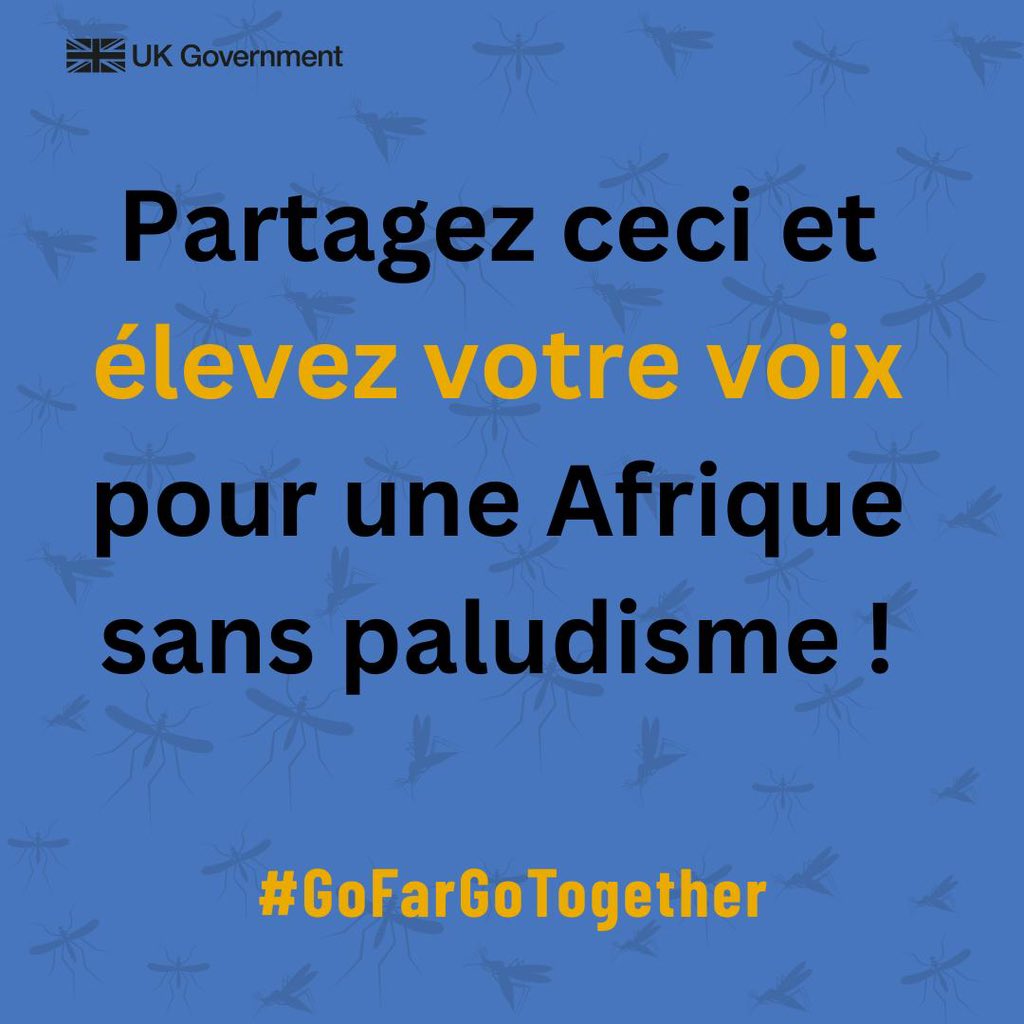 Le changement climatique, les conflits et d’autres crises mondiales continuent de perturber les efforts de lutte contre le paludisme. En ce jour, le🇬🇧réitère son partenariat avec l’Afrique pour améliorer l’accès aux services de prévention et de traitement du palu. Voici pourquoi: