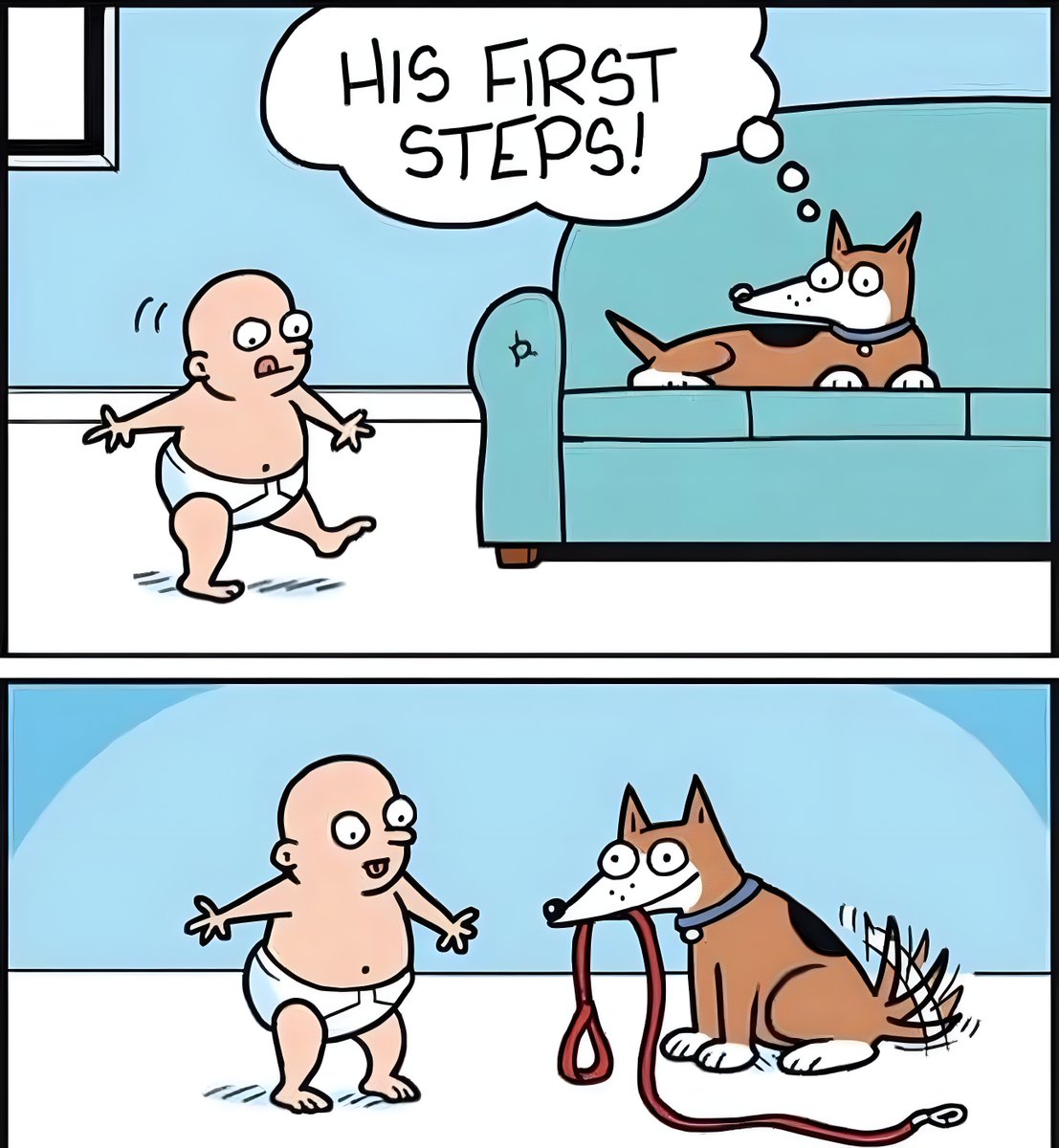 The Dalbo Dog (@dalbodog) on Twitter photo 