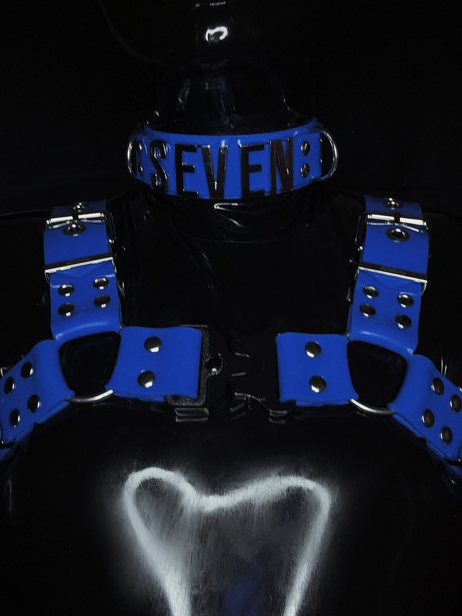 新项圈儿爱死了
蓝黑也很美🤭
⛓️‍💥<a href="/kbboy_official/">KBboy</a>