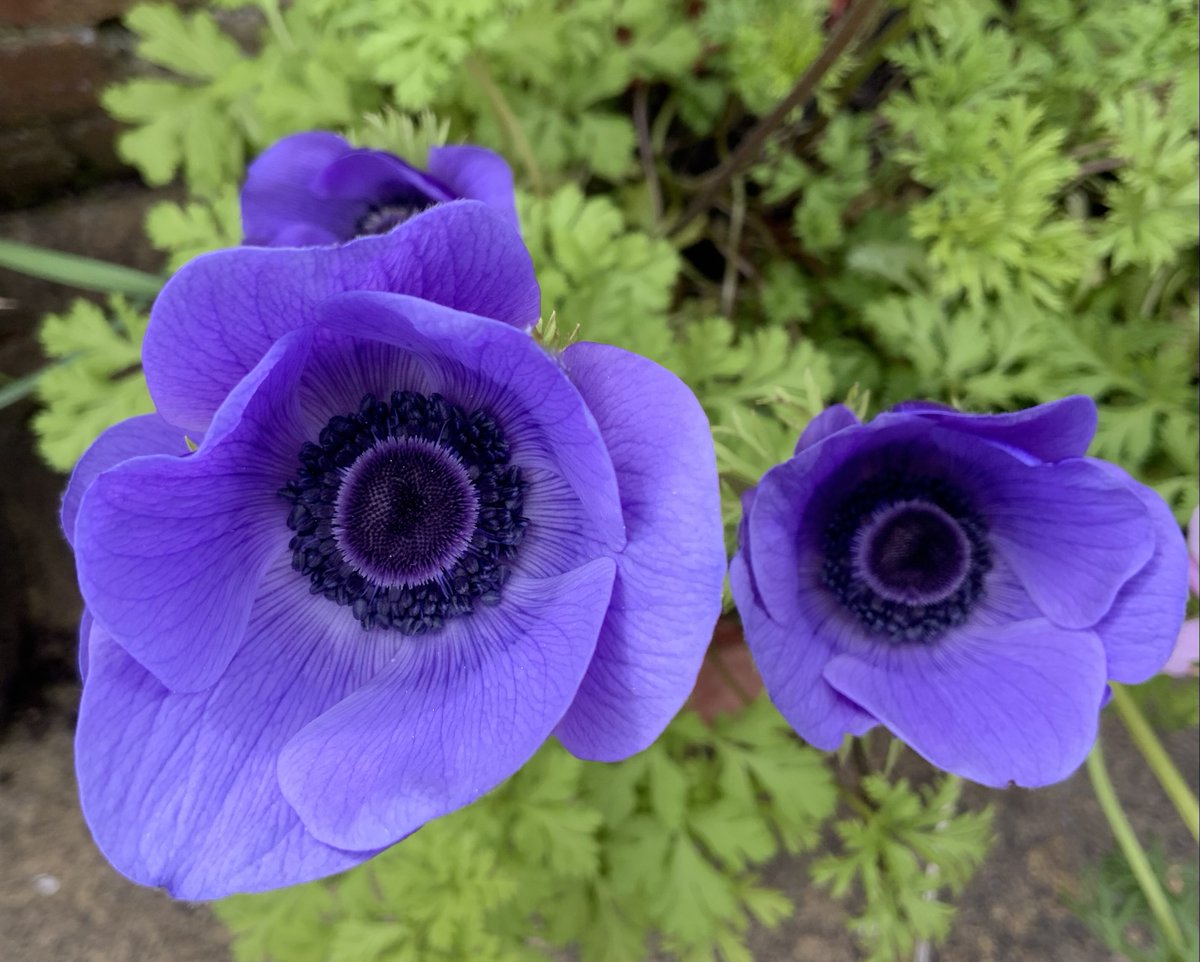 Patience is needed, we must wait until we are given what God wants us to see, say or do, and ensure that it conforms to the rule of love - then we will see that it is good.

#faith #hope #love #ThoughtForTheDay #wonder