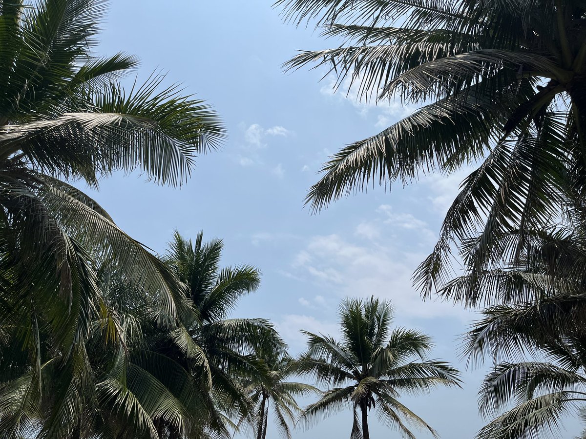 TraderHirus's tweet photo. Working in silence — literally.

I’ve been spending the past few months in Vietnam.
Palm trees, warm ocean, and minimal noise — both around and inside.
It’s easier to hear yourself and the market when the external world quiets down.

Remote work gave me exactly what I needed: time to reset, reorganize my thinking, and refine my system.
The market isn’t about emotions — it’s about discipline, focus, and precise execution. Everything else is just noise.
