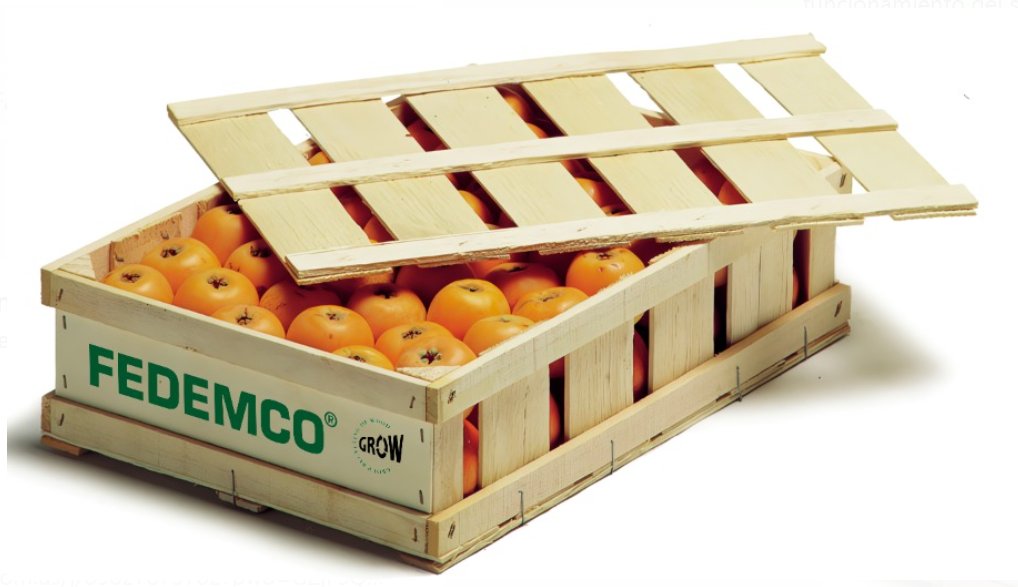 🍊¡Ya estan aquí los nísperos! Una fruta deliciosa y refrescante que también es una fuente increíble de beneficios para tu salud.

😊Desde FEDEMCO nos sumamos a la campaña del níspero, nos sentimos orgullosos de apoyar la promoción de productos frescos y saludables.
<a href="/5aldiaspain/">5 al día</a>