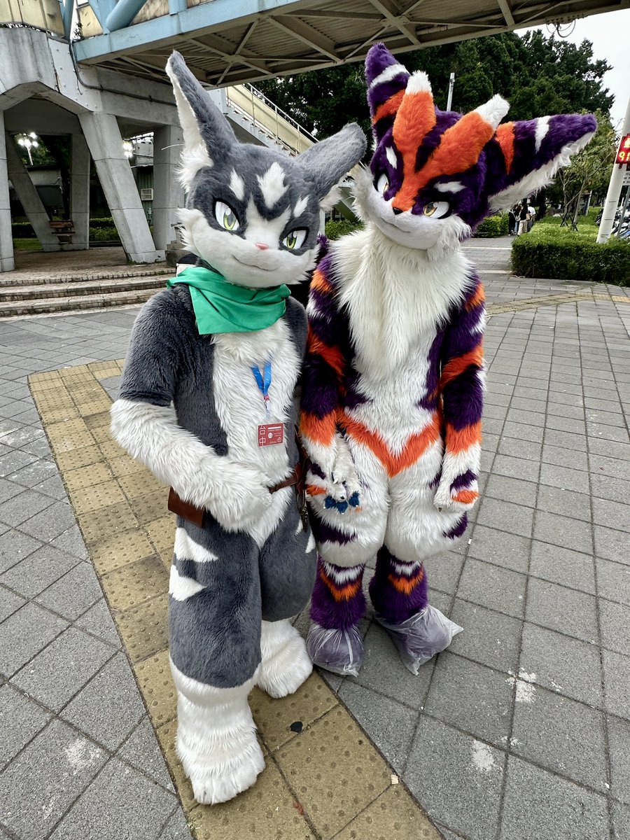 氷羽猫 ✈️ (@haneneko0909) / Posts / X