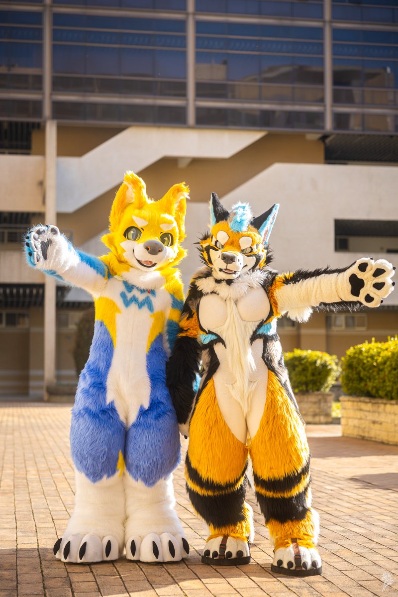 焦糖/Caramel (@caramelmaoj) on Twitter photo The school festival starts early this year~
Welcome to our university! >A<✨
🐺: <a href="/hakutatsu88/">北達Hakutatsu</a>
📸: Wolf Amarok
#fursuitFriday The school festival starts early this year~
Welcome to our university! >A<✨
🐺: <a href="/hakutatsu88/">北達Hakutatsu</a>
📸: Wolf Amarok
#fursuitFriday