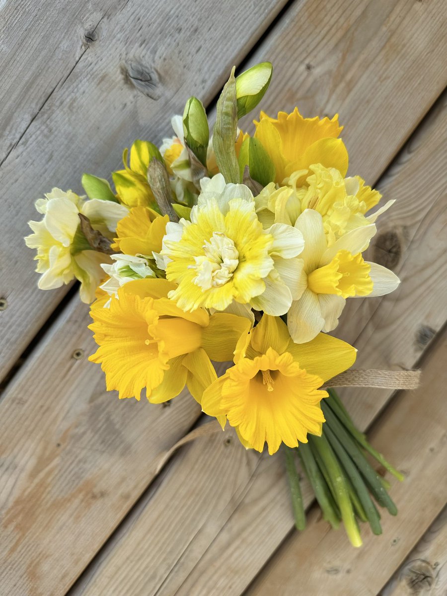 Cherry Hill Blooms tweet media