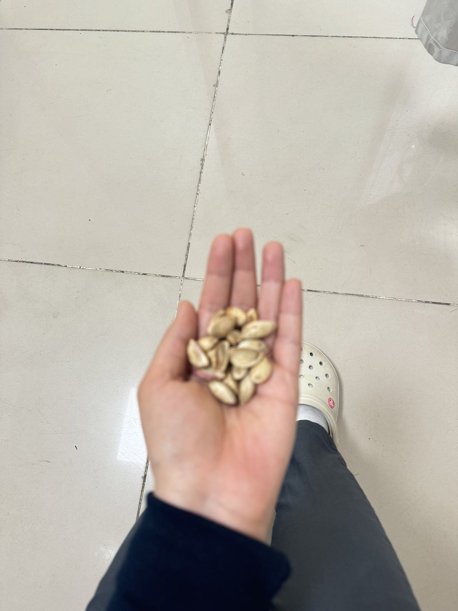 Ekg’sini çektiğim amcanın cebinden çıkarıp bana verdiği fıstıklar sen ne güzel bir amcasın🌸🥰