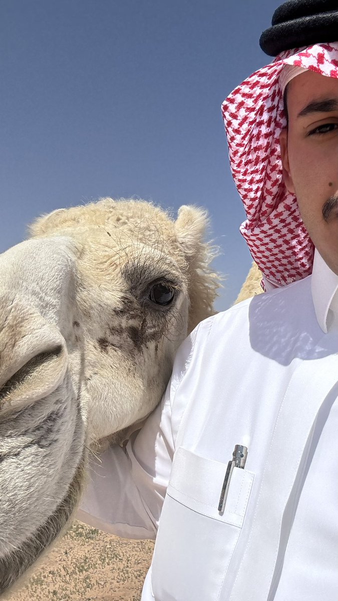 _9uo6's tweet photo. مايطرب الخاطر سوى مقابل الذود
أخير من شوف الوجيه البغيضه . https://t.co/fiM9caVSjU