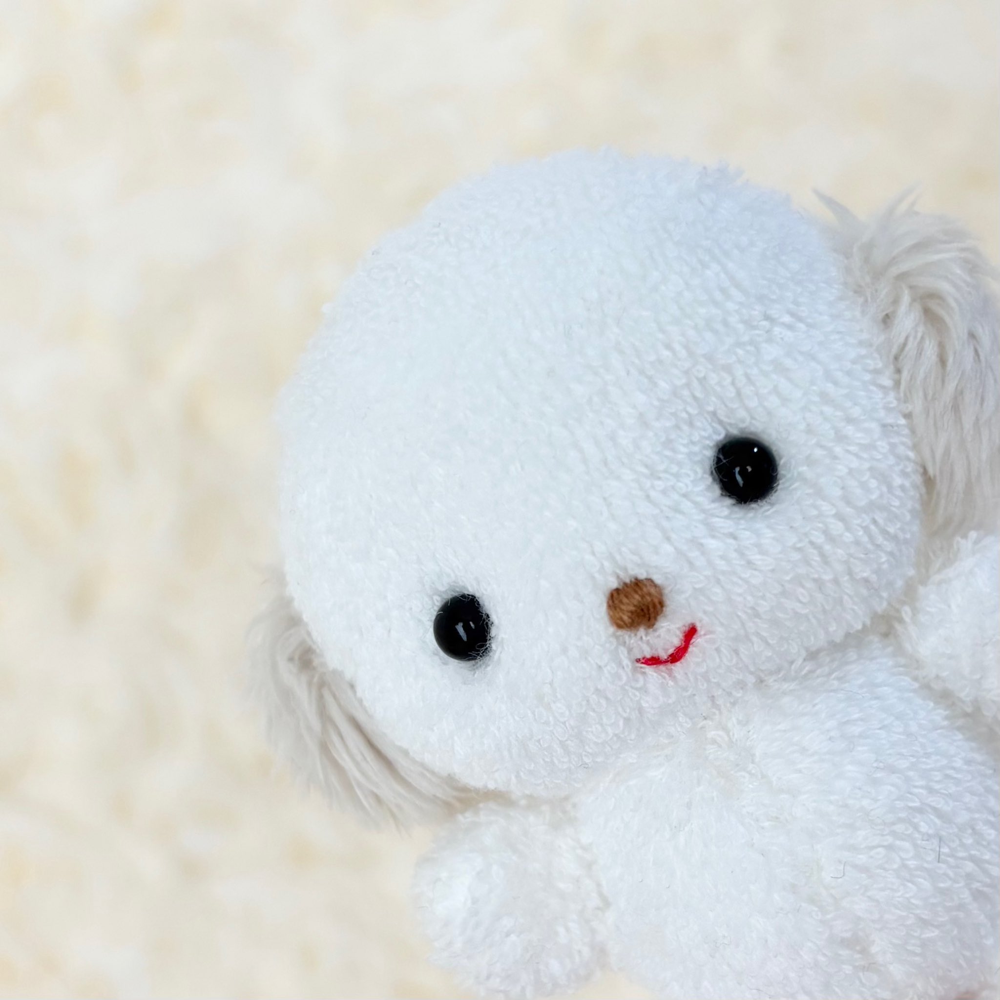 だっこうさぎ | 37℃