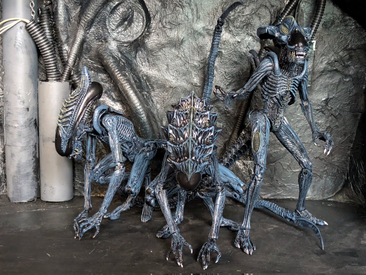 I present the Charger, Praetorian and Slasher aliens with crests from <a href="/papsikels3d/">Papsikels Miniatures</a>

<a href="/Mantisabbey/">WaitingforRetooledPredalien</a> <a href="/NECA_TOYS/">NECA</a>