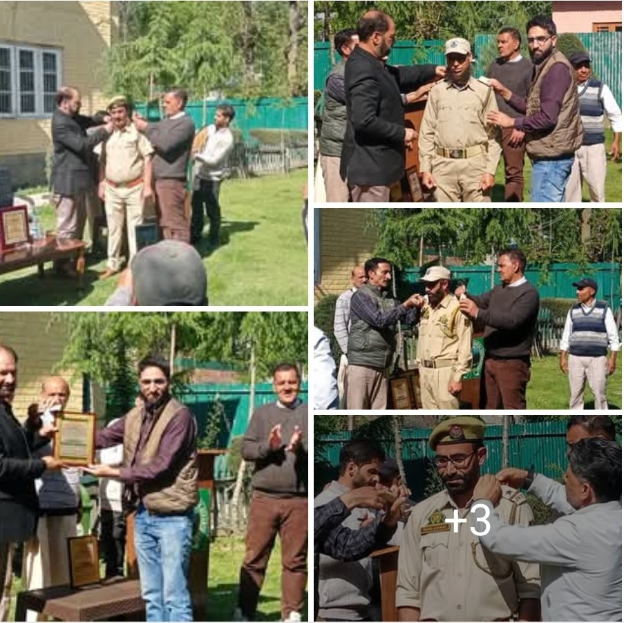 DFO Planning and Publicity tweet media