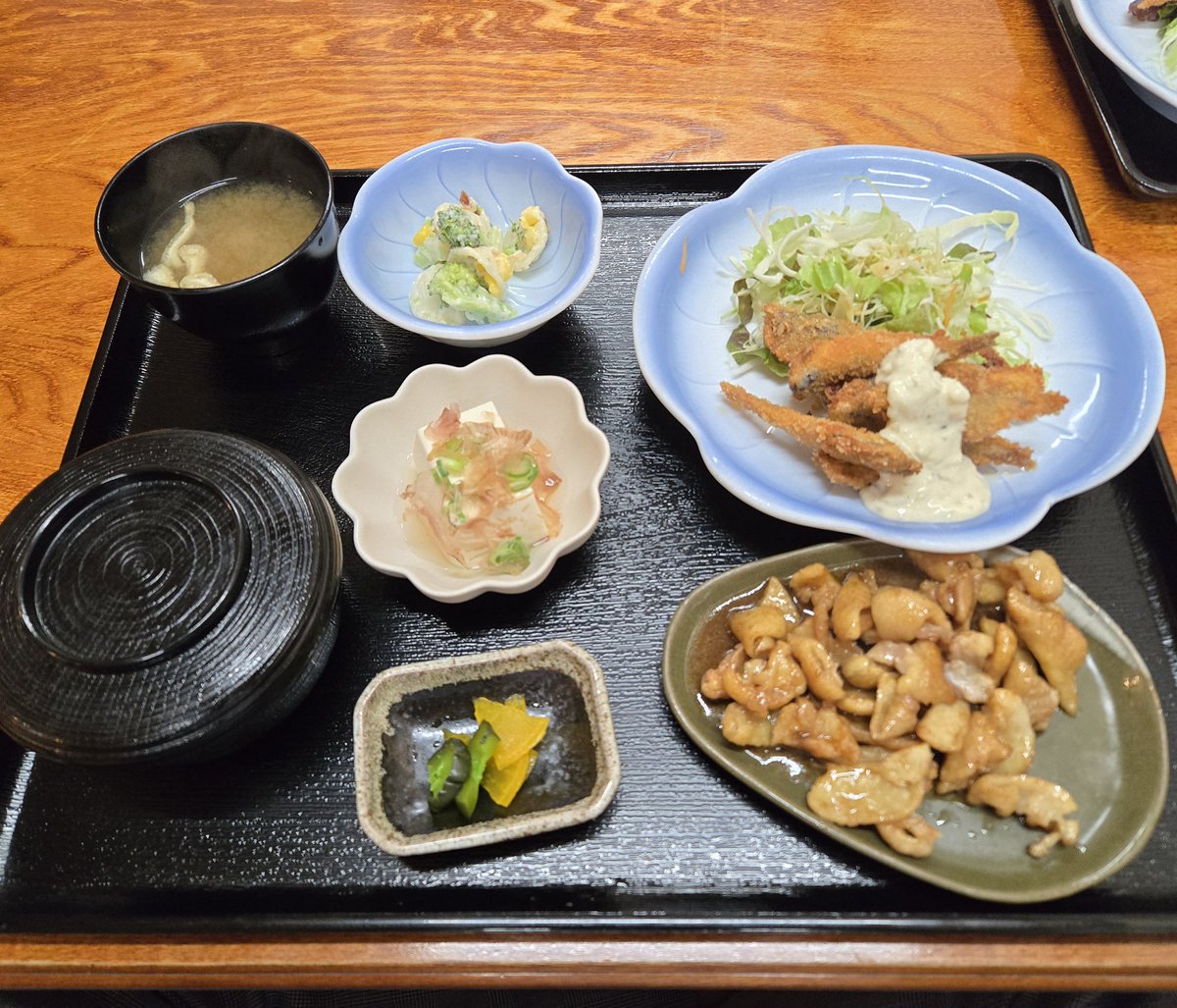 媛ぬこ™ tweet media