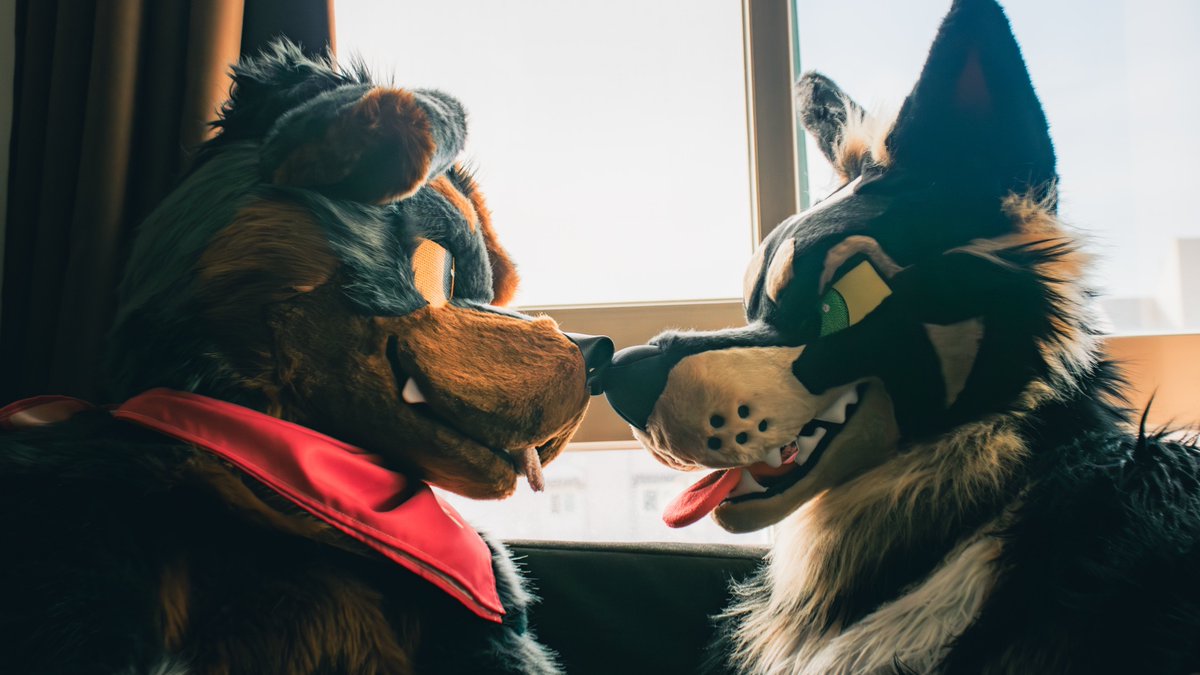 Greeting to LOBO🐾

#FursuitFriday