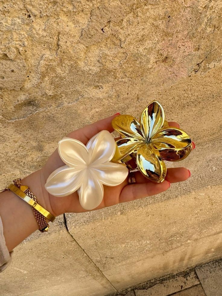 Outfit_Luxy's tweet photo. Hair clips https://t.co/yK2sUFzAja