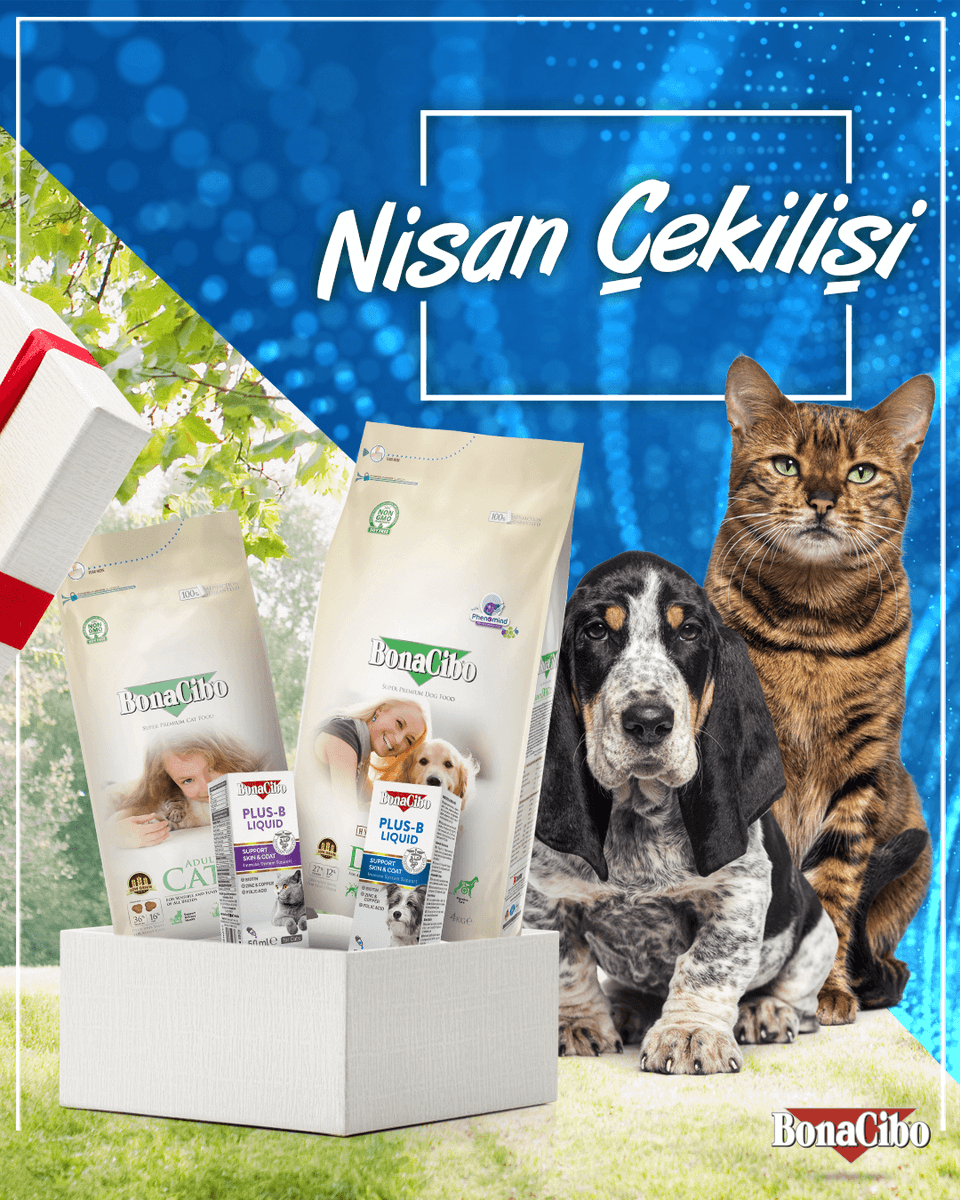 Bonacibo Cat & Dog Food tweet media