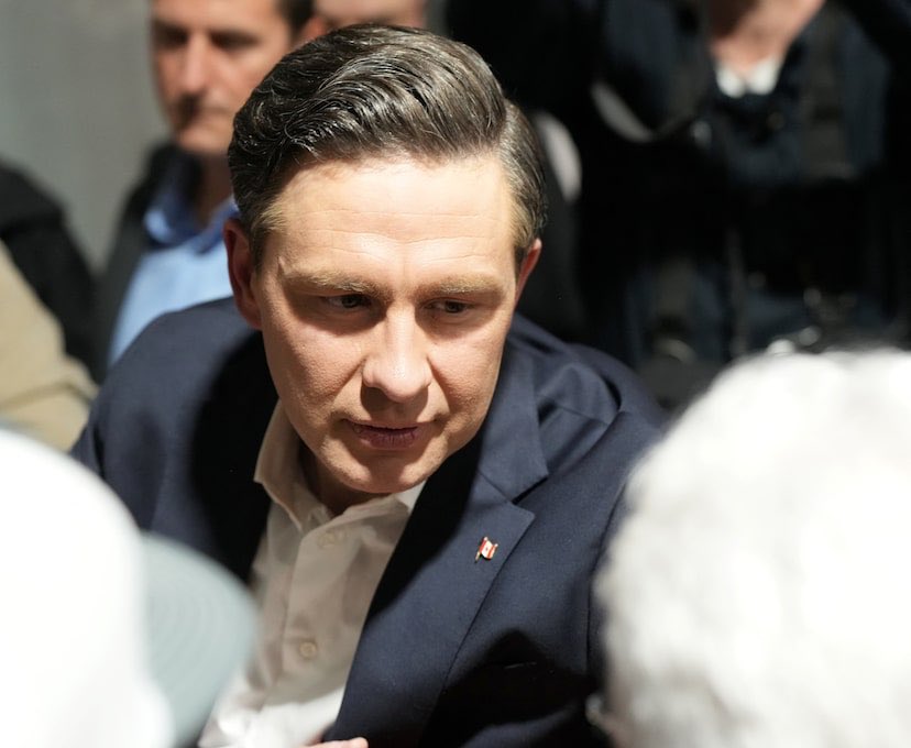 Laura Stone tweet media