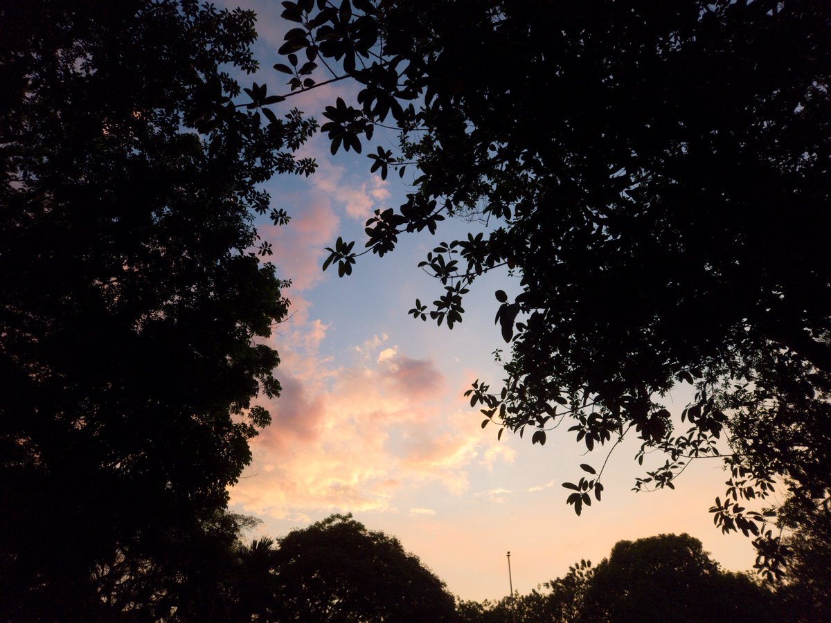 keiii_yeowoo's tweet photo. sunset after the sudden rain shower (~2 hours ago...) ☁️🩷
happy weekend! #SunsetForWonpil https://t.co/FlP1Ichln9
