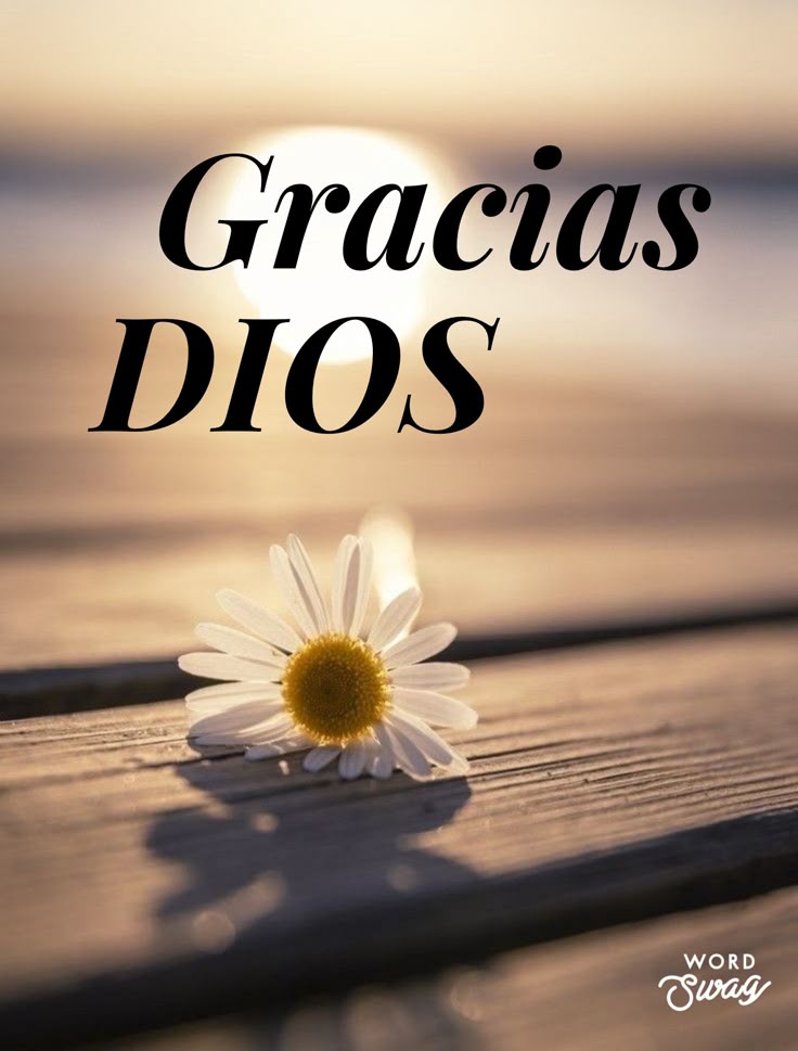Buen día

Donde hay fe hay amor, donde hay amor hay paz, donde hay paz está Dios y donde está Dios no falta nada.

Dios espera lo mejor de ti, por eso espera siempre lo mejor de ÉL.

Gracias, Señor, por la vida y por todas las cosas maravillosas que nos regalas todos los días.