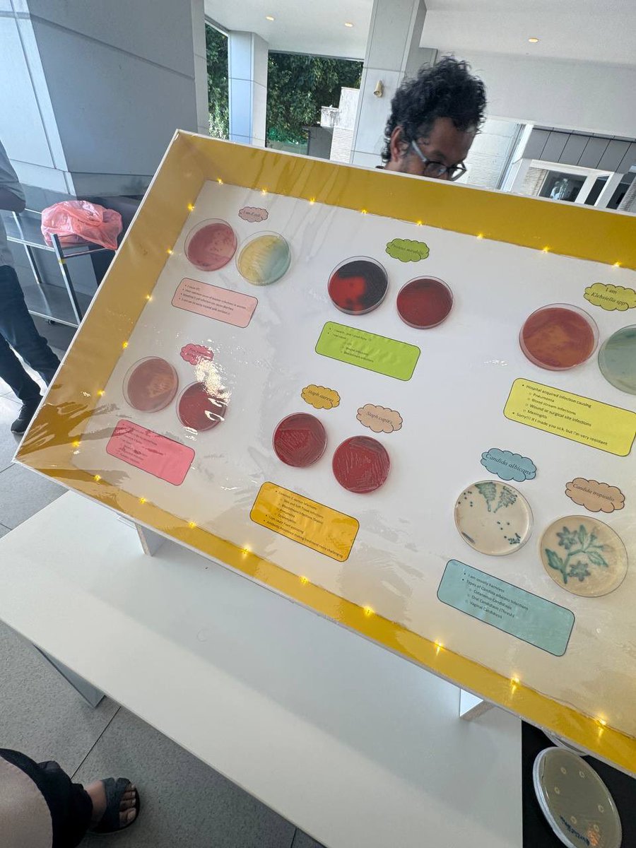 HMH_mv's tweet photo. It was a pleasure to witness the Indira @igmhmv Laboratory Open Day — a thoughtful initiative by our colleagues under MCGH.
The event beautifully highlighted the vital role of labs in patient care through engaging setups and dedicated teamwork.
#LabWeek2025 #MCGH #InsideLab https://t.co/6mNDJ1C0qd