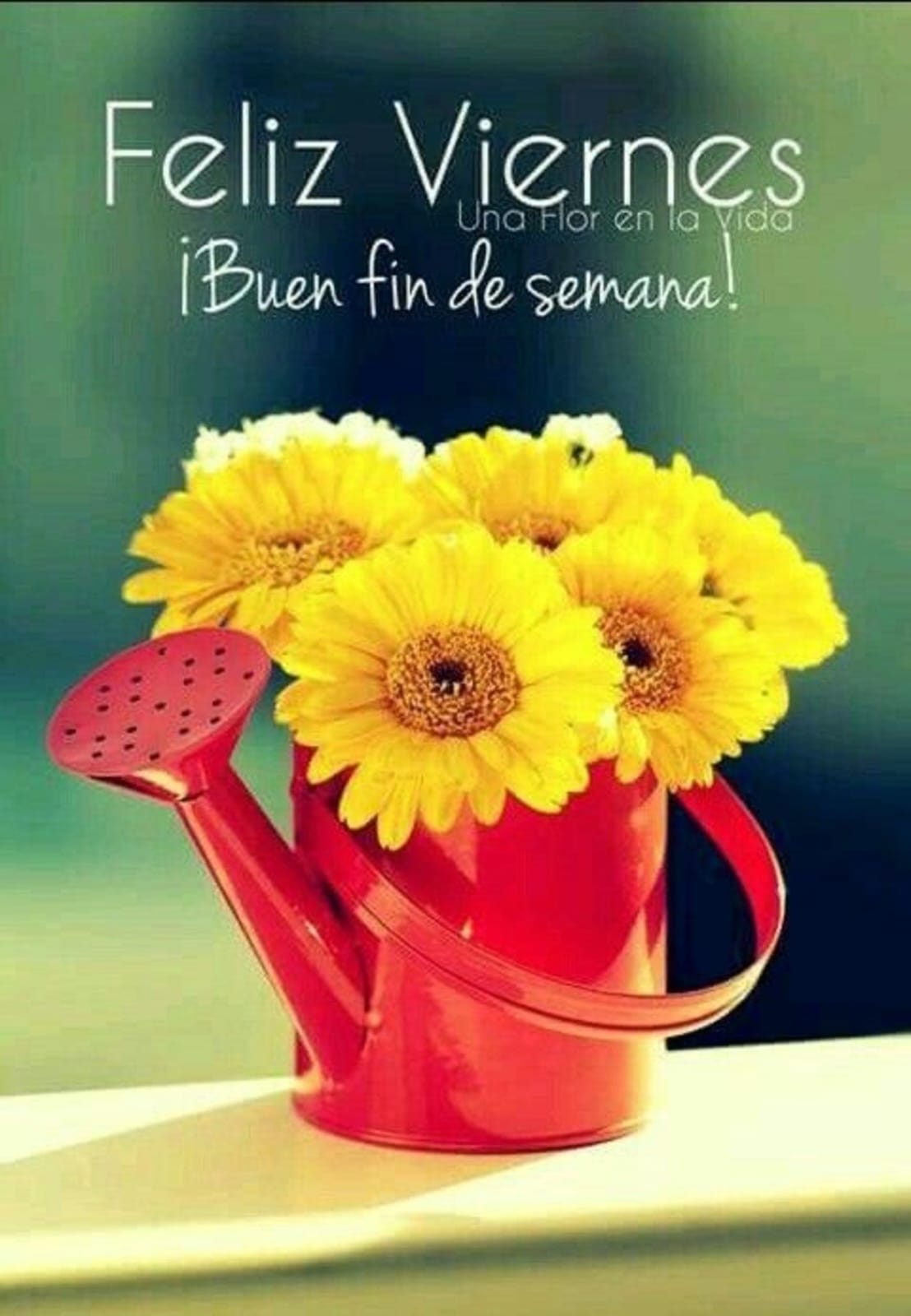 Emma on X: "Buen día ! Feliz viernes. Que tengan un lindo fin de semana.  ???????? Bendiciones ????????☕☀️???????????? https://t.co/LB4S7Zqhw8" / X