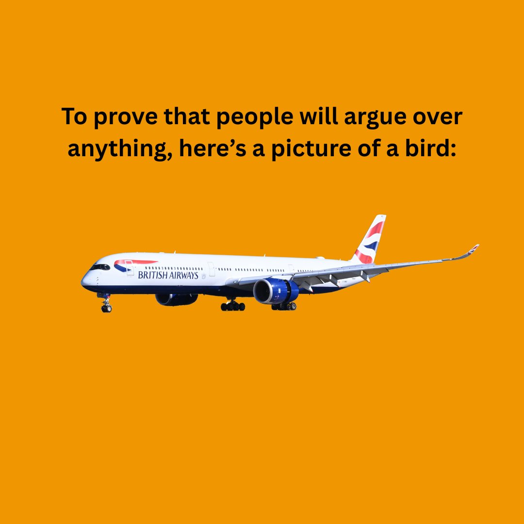 MCO photo
