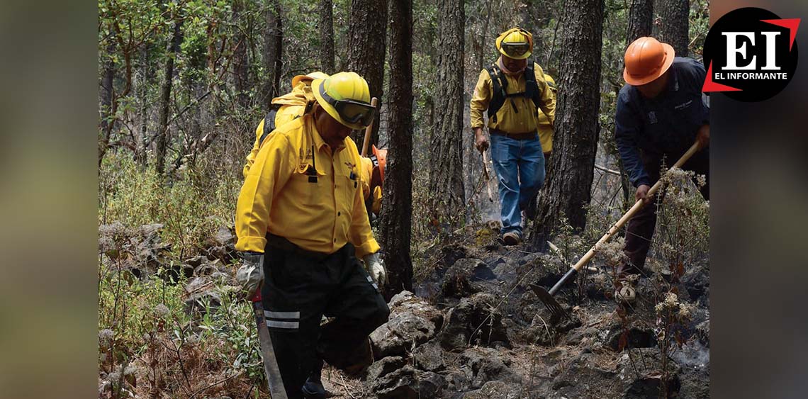 ElInformanteMX's tweet image. Se disminuye en #Edoméx 52% la #afectación por #IncendiosForestales en #SemanaSanta

Registra Edoméx menos del 1% del #ÁreaForestal afectada durante la actual la #TemporadaDeEstiaje.
Tags: @Edomex @Probosque_ @CEPANAF @pciviledomex @IMEPI_Edomex
elinformante.mx/?p=81847