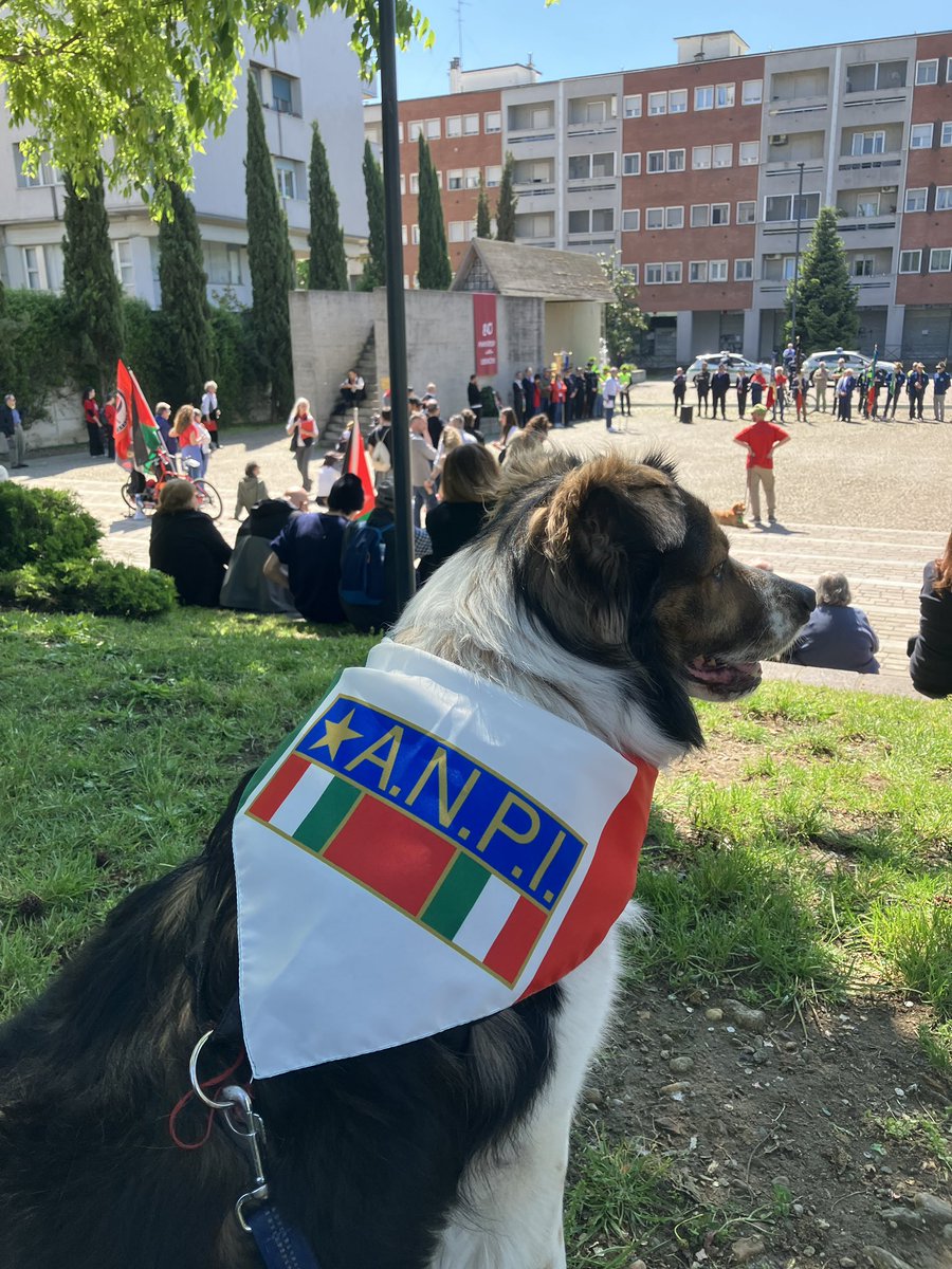 Come ogni anno il discorso  del <a href="/csabaraonda/">csa baraonda</a> da applausi!

Buon 25 aprile!

#segrate 
#25aprile 
#25Aprile2025 
#25aprile_è_ANTIFASCISTA