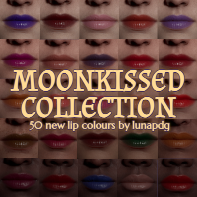 Luna 🐺 tweet media