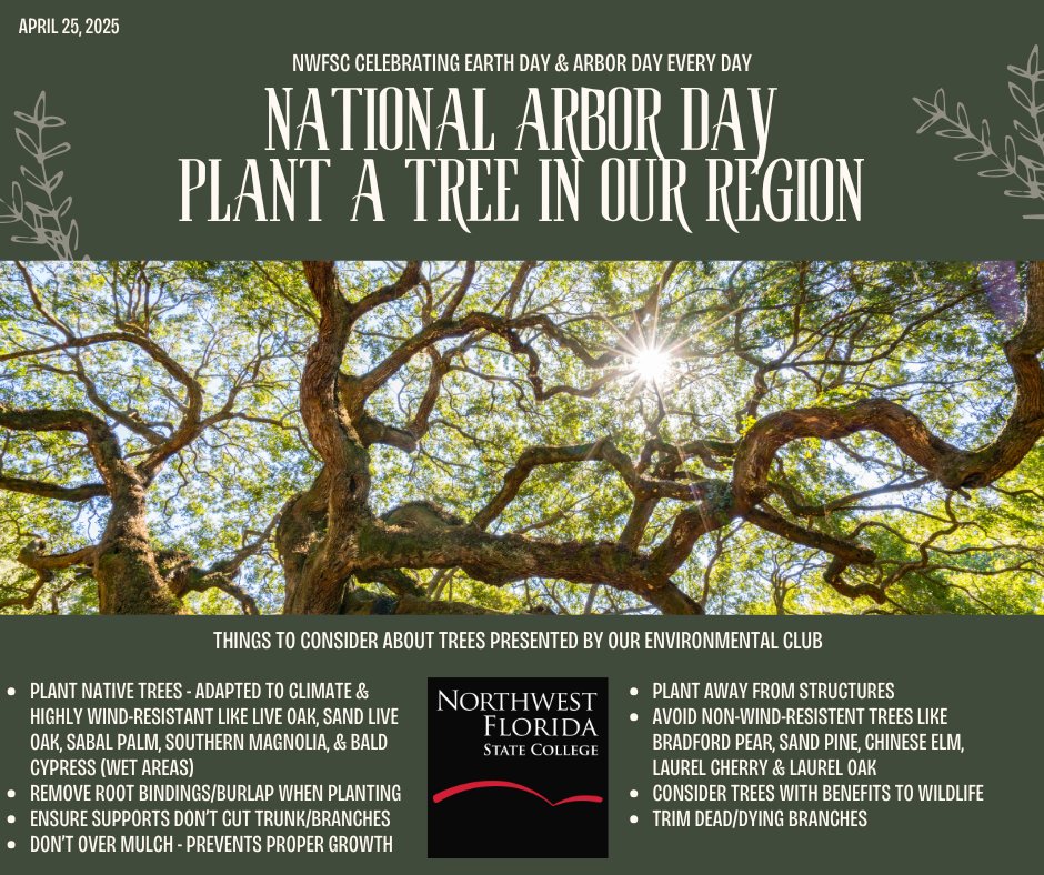 nwfstatecollege's tweet image. 🌳 Plant a native tree this #NationalArborDay! 🌱

Help grow a greener future—one tree at a time.

🌱 Learn how to plant properly: arborday.org/planting-your-…

#PlantATree | #EveryDayIsEarthDay
