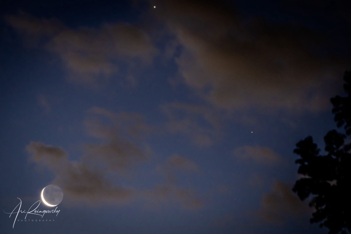 reingowsky's tweet photo. Triple conjunction Smiley Face 😀 expectations vs reality https://t.co/Obwd1xzyYh