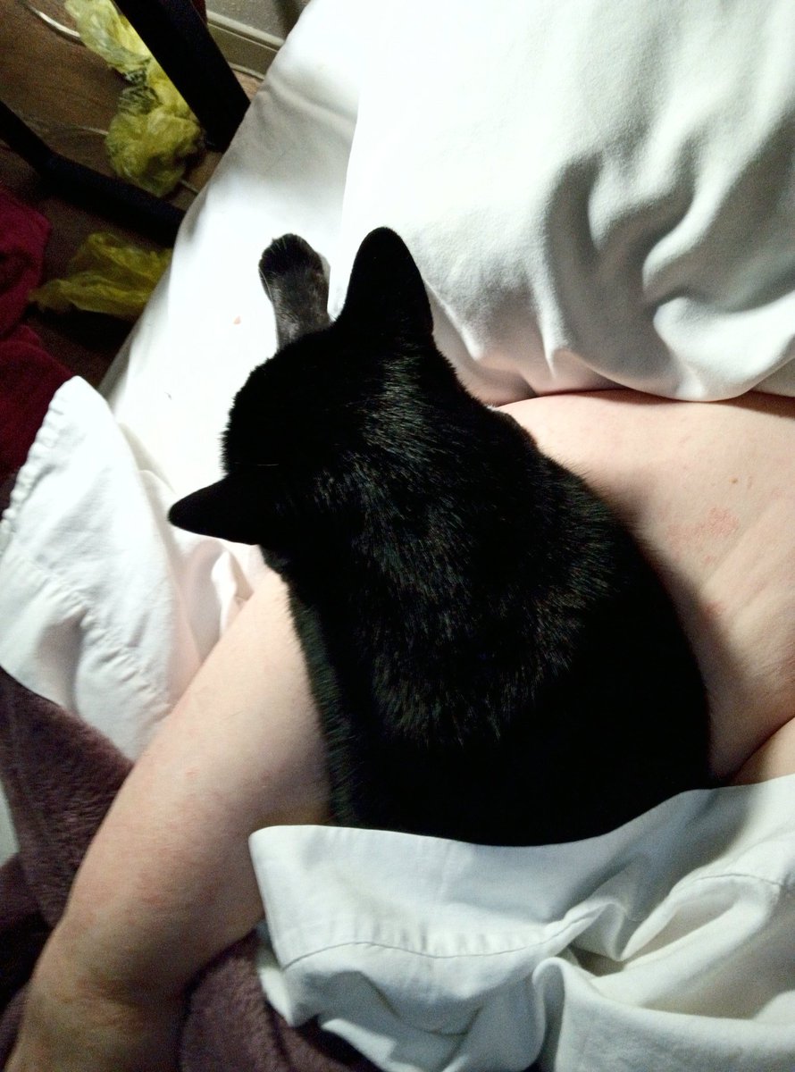 Coming up short on the room rent for Friday. Looking to drum up as close to $60 as I can since not sure the fellas can help in the morning. (One doesn't get paid til evening, so.)
paypal.me/therealremimew
Any &amp; all help greatly appreciated. You Angels help keep me of the streets.