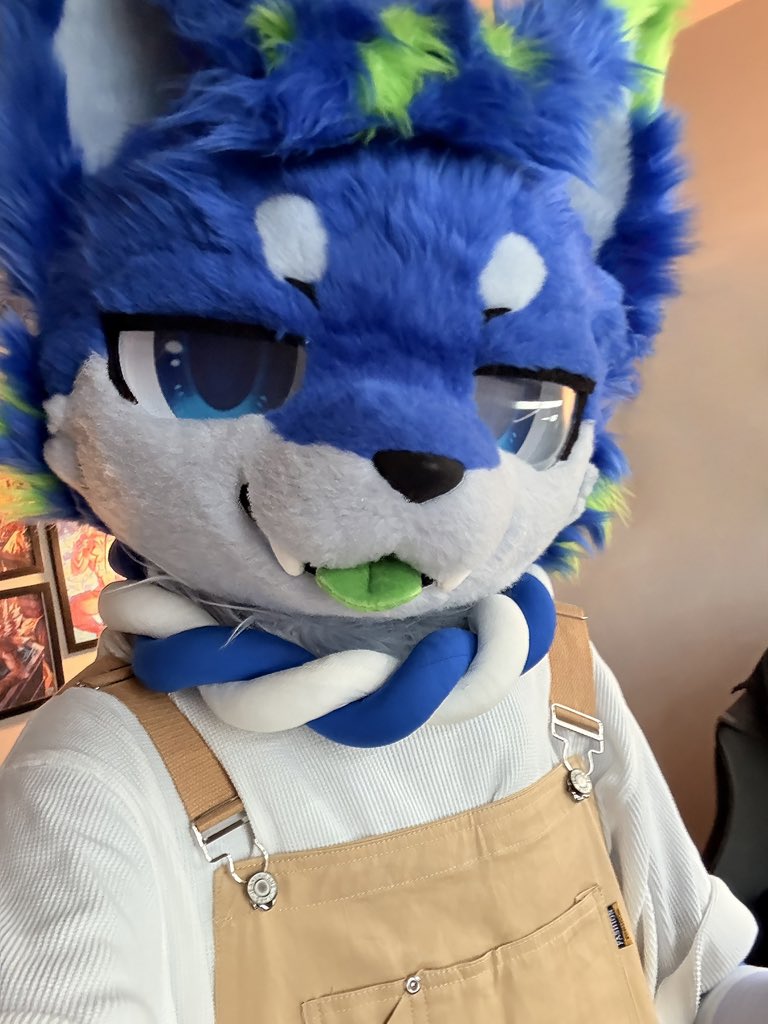 藍藍的新衣✨
#FursuitFriday