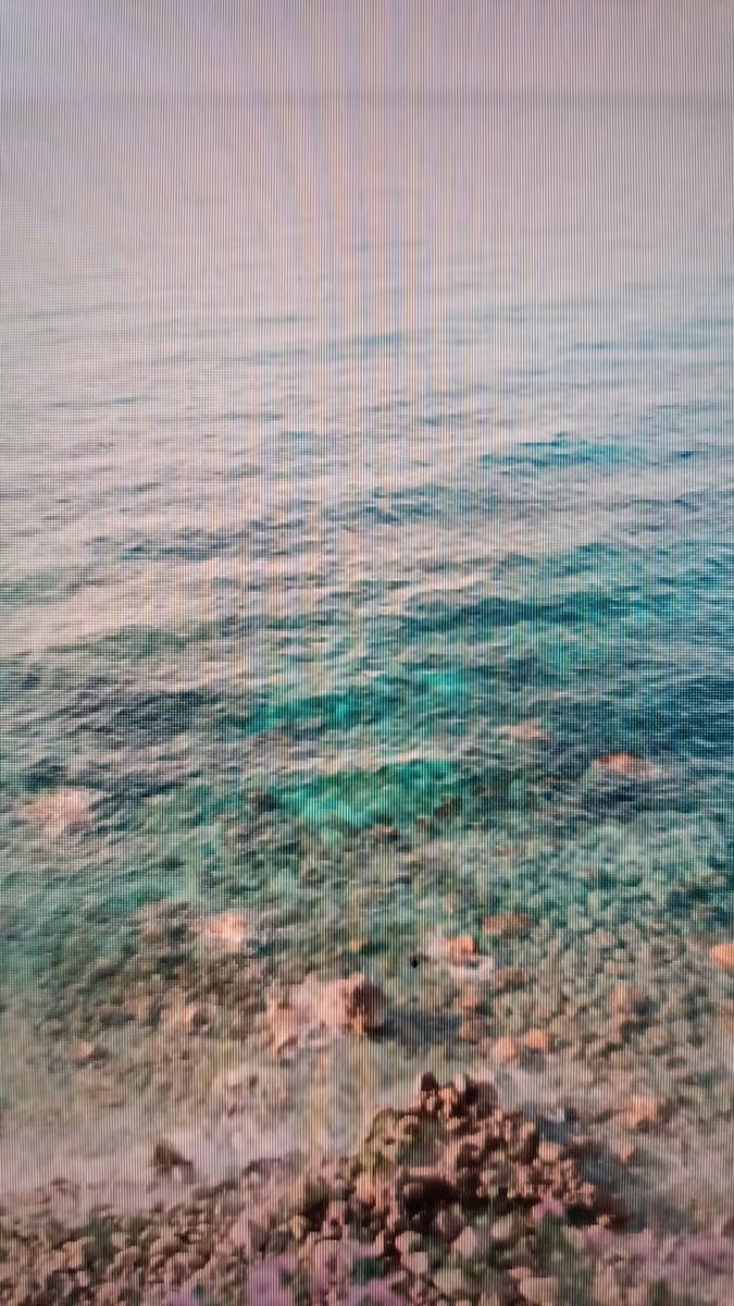 relic.bot tweet media