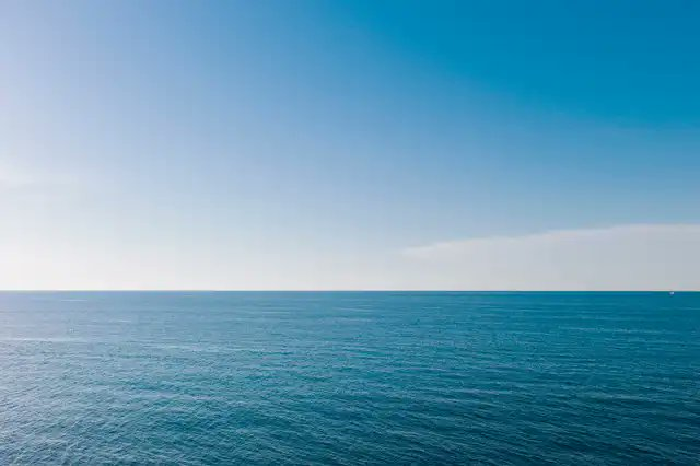 DazHutch's tweet photo. Today's recommended stock: $OMEX

Odyssey Marine Exploration (NASDAQ: OMEX ) is an ocean mining exploration company

I am coaching trading on WhatsApp.

Fans who don't know how to buy yet can join us https://t.co/LGyb1C5xSZ