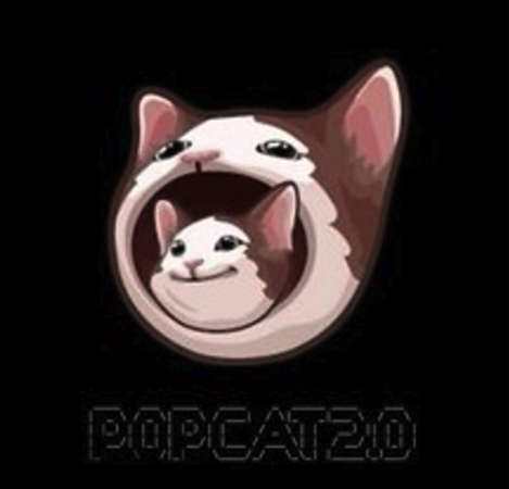 WastedInvest0r's tweet photo. Aped #POPCAT2 (SecondBirth) - chart been holding well, and I heard the team that CTO'd it are a bunch of chads that have sent projects to millies before.
F5tXphzFFxUfuZEH6yTKZUHDXiLhpoGnr2RSEoqepump
$POPCAT is at 400M mc, and is likely going to move up towards 1b soon now that market is back.
#POPCAT2 is at 30k - 10% is easily attainable (so you do the math)
We've seen big run ups on 2nd narratives with $PEPE, $SPX and all other premium memes, so with a good team this can send hard on $SOL. Believe in second chances!