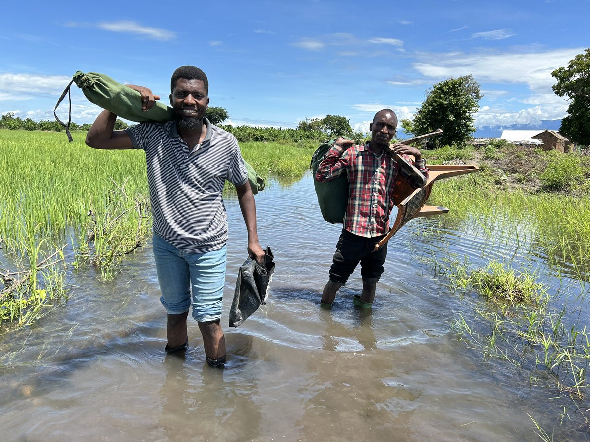 Mohamed Jumanne (@entomohamed) on Twitter photo Braving the rainy season to collect a single row of a dataset 📈 —one muddy step at a time. This is what it takes to generate life-saving evidence at <a href="/ifakarahealth/">Ifakara Health Institute</a> . #MalariaDay2025 Braving the rainy season to collect a single row of a dataset 📈 —one muddy step at a time. This is what it takes to generate life-saving evidence at <a href="/ifakarahealth/">Ifakara Health Institute</a> . #MalariaDay2025