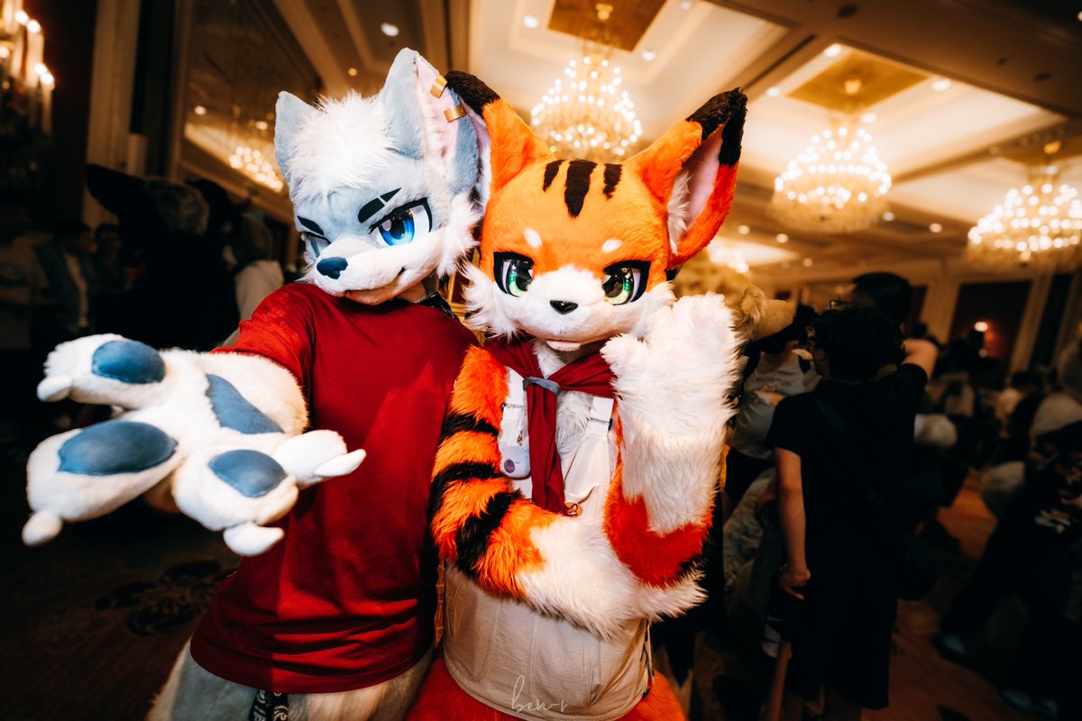 🐺<a href="/Jeno520573/">杰诺Jeno</a>
 🐱<a href="/Flameheart_89/">Yan-焰心/茶介</a>