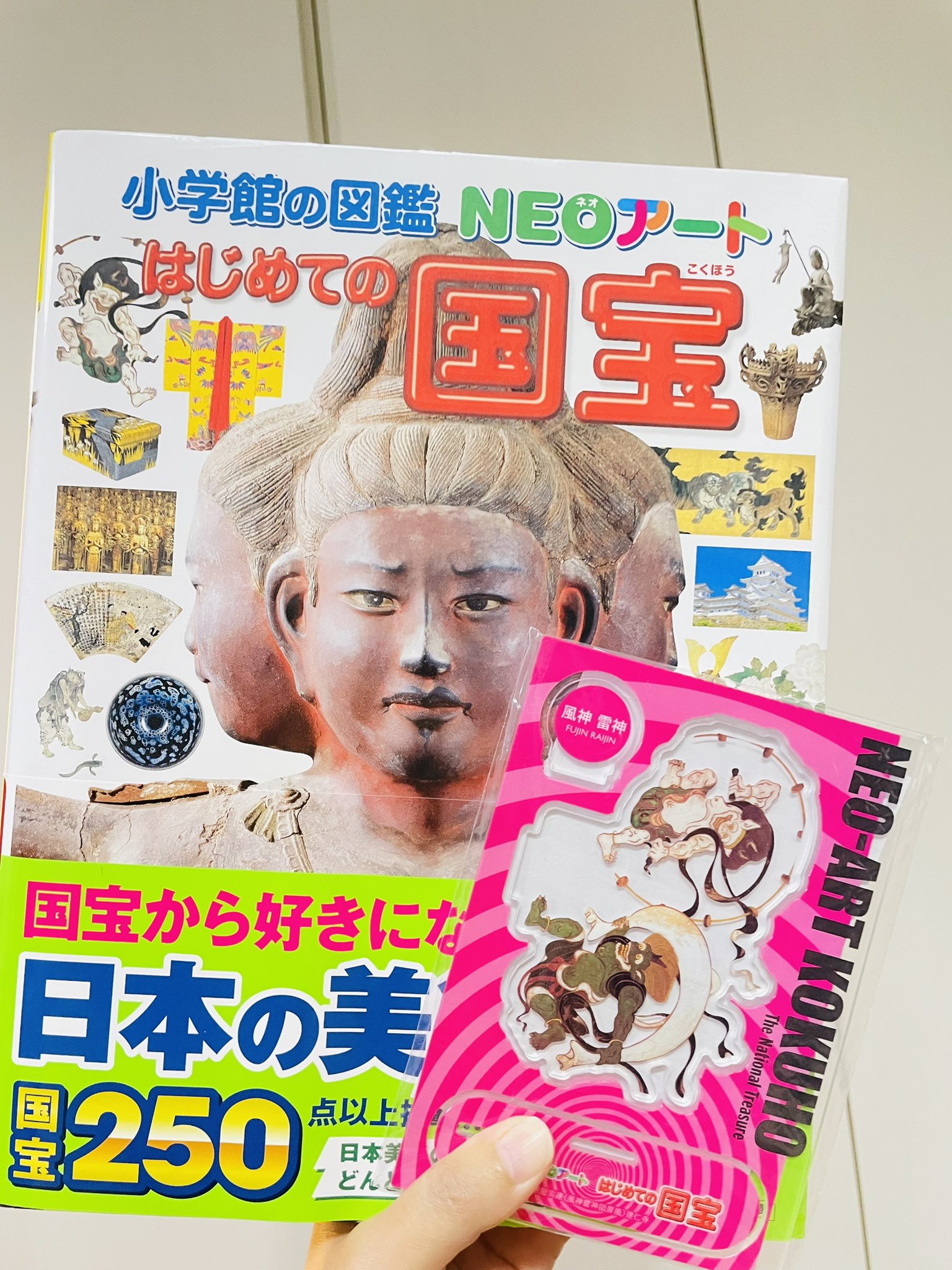 小学館の図鑑NEO (@ZUKAN_NEO_PR) / X 小学館の図鑑NEO (@ZUKAN_NEO_PR) / X