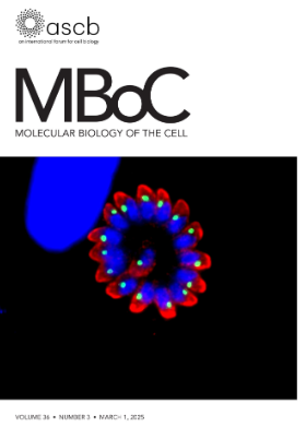 American Society for Cell Biology (@ascbiology) on Twitter photo From MBoC
When everything is a master regulator, nothing is, by <a href="/KraussLab/">Krauss Labš£š¬</a>, @icahnmountsinai, et al.
molbiolcell.org/doi/10.1091/mb⦠#ASCB #CellBiology From MBoC
When everything is a master regulator, nothing is, by <a href="/KraussLab/">Krauss Labš£š¬</a>, @icahnmountsinai, et al.
molbiolcell.org/doi/10.1091/mb⦠#ASCB #CellBiology