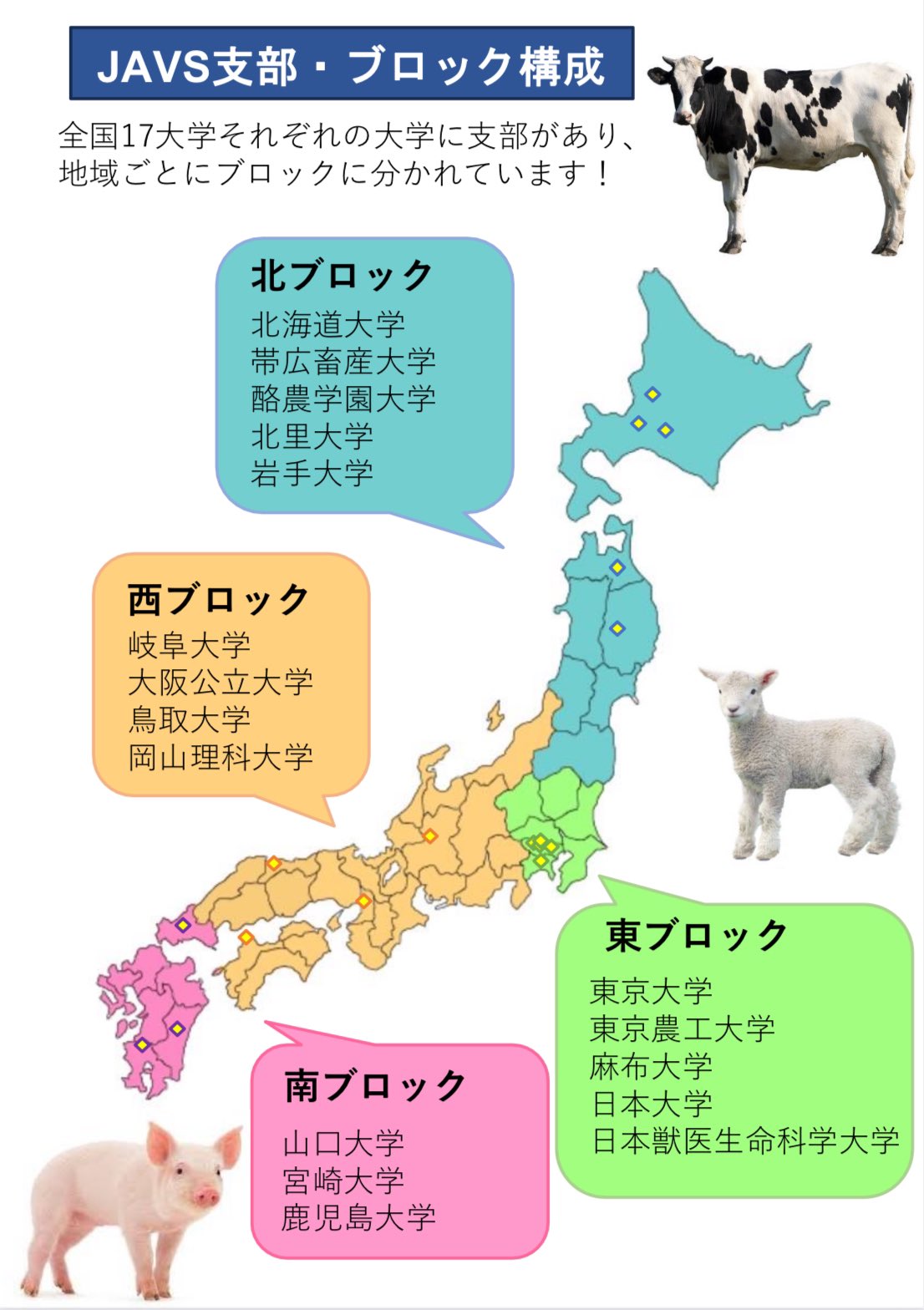 JAVS(日本獣医学生協会) (@javs_kohobumon) / X JAVS(日本獣医学生協会) (@javs_kohobumon) / X
