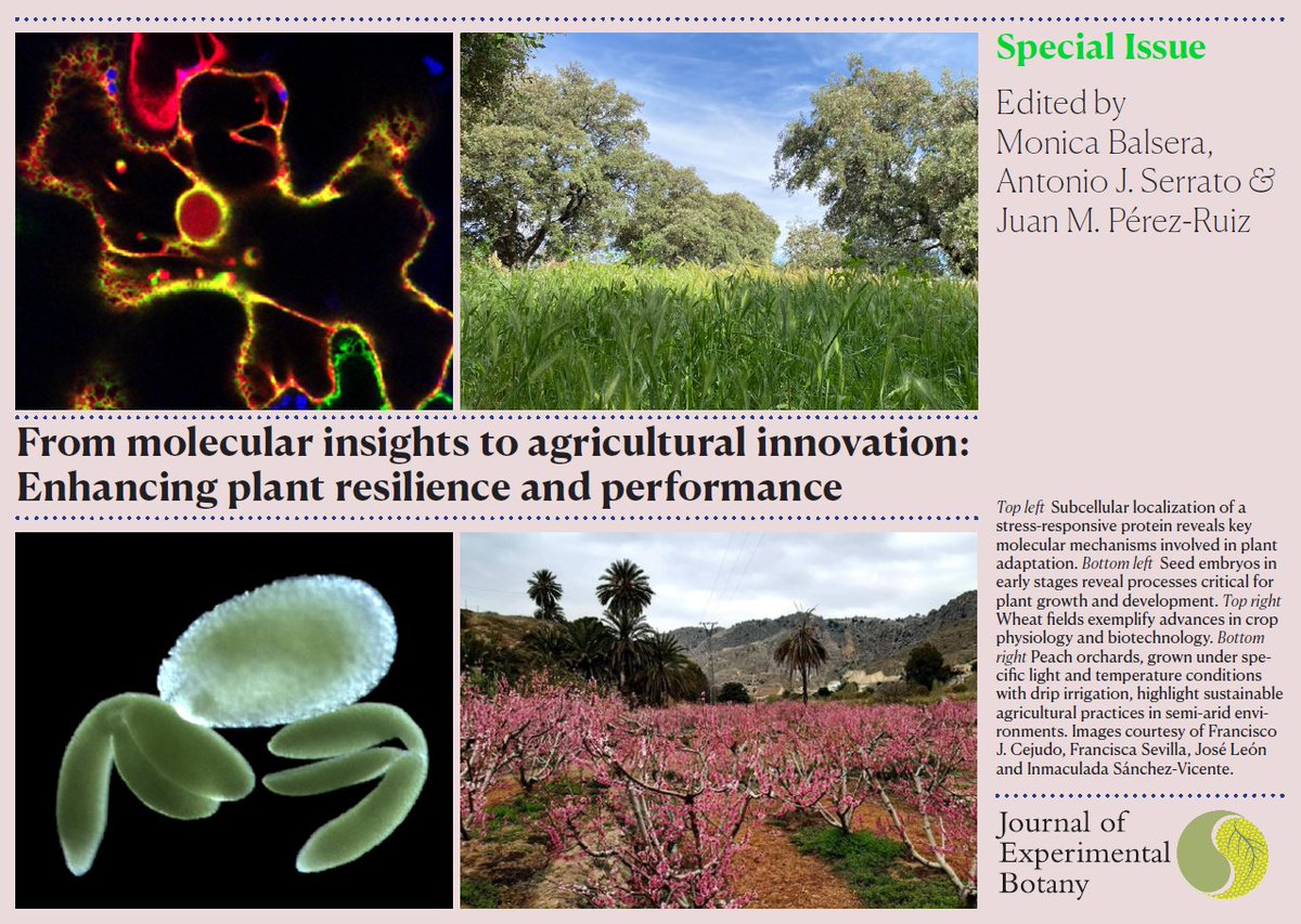 IRNASA-CSIC (@irnasa_csic) on Twitter photo 🆕 We are pleased to announce the publication of a <a href="/JXBot/">JXB @jxbotany.bsky.social</a> special issue: "From molecular insights to agricultural innovation: Enhancing plant resilience and performance" co-edited by #IRNASA-CSIC researcher <a href="/MonicaBalsera/">Mónica Balsera</a>. Submissions open until July 31! 👉submit.jxbot.org 🆕 We are pleased to announce the publication of a <a href="/JXBot/">JXB @jxbotany.bsky.social</a> special issue: "From molecular insights to agricultural innovation: Enhancing plant resilience and performance" co-edited by #IRNASA-CSIC researcher <a href="/MonicaBalsera/">Mónica Balsera</a>. Submissions open until July 31! 👉submit.jxbot.org