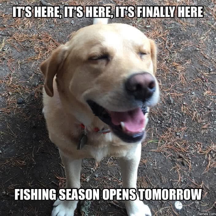 Fishing With Heroes tweet media