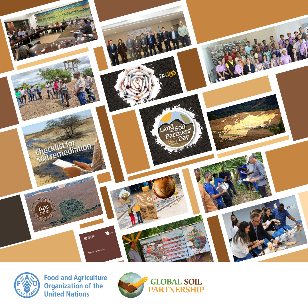 The latest from the #GlobalSoilPartnership is out now! Explore recent publications, event highlights, news, videos &amp; more 👇🏿👇🏿👇🏿
newsletters.fao.org/q/119z16SpjPgo…

Want future updates straight to your inbox? Sign up here 👉🏿 fao.msgfocus.com/k/Fao/subscrip… #soilhealth