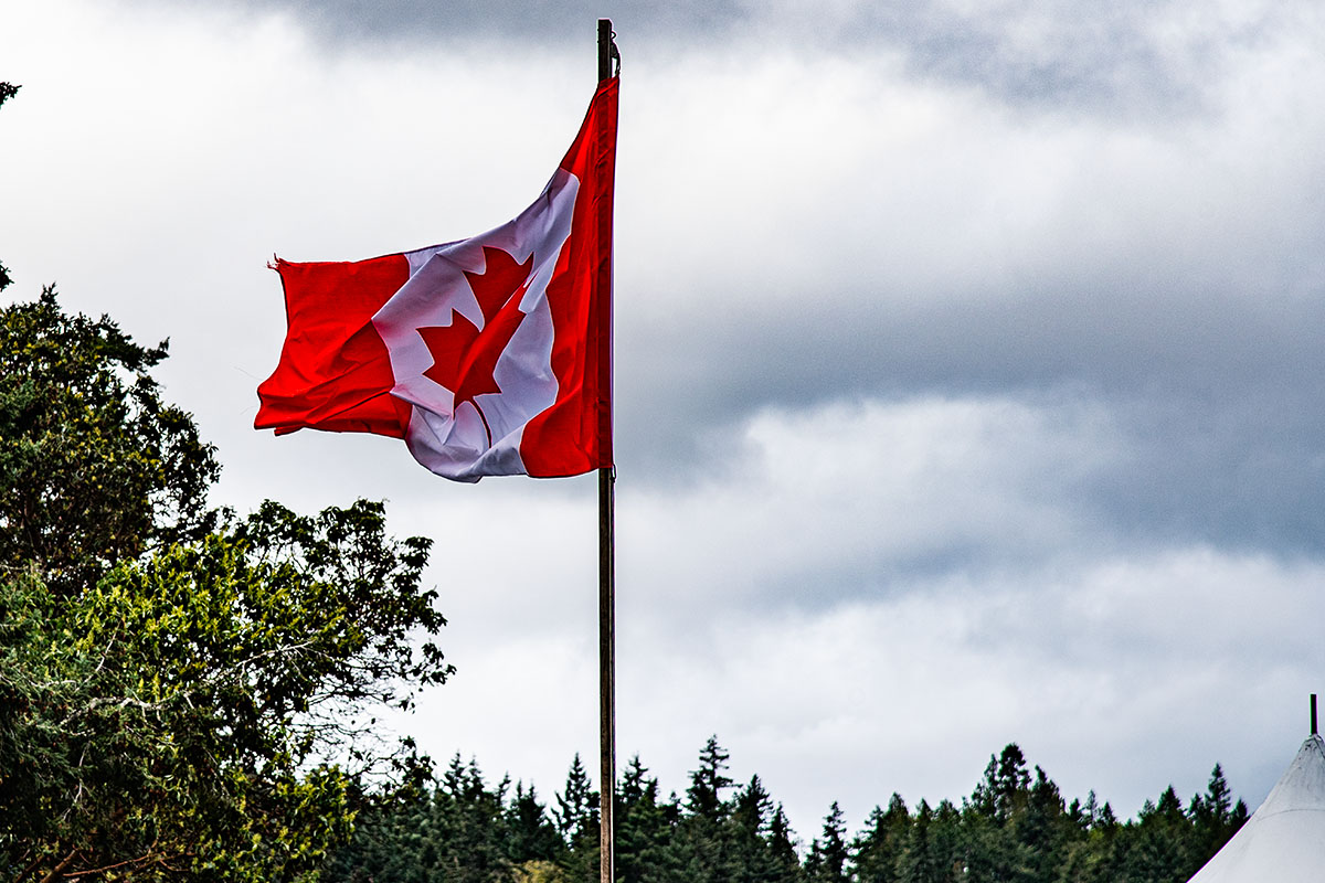 🇨🇦 True North Strong and Free 🇨🇦 #canada #elbowsup #madeincanada #buycanadian #flagaday