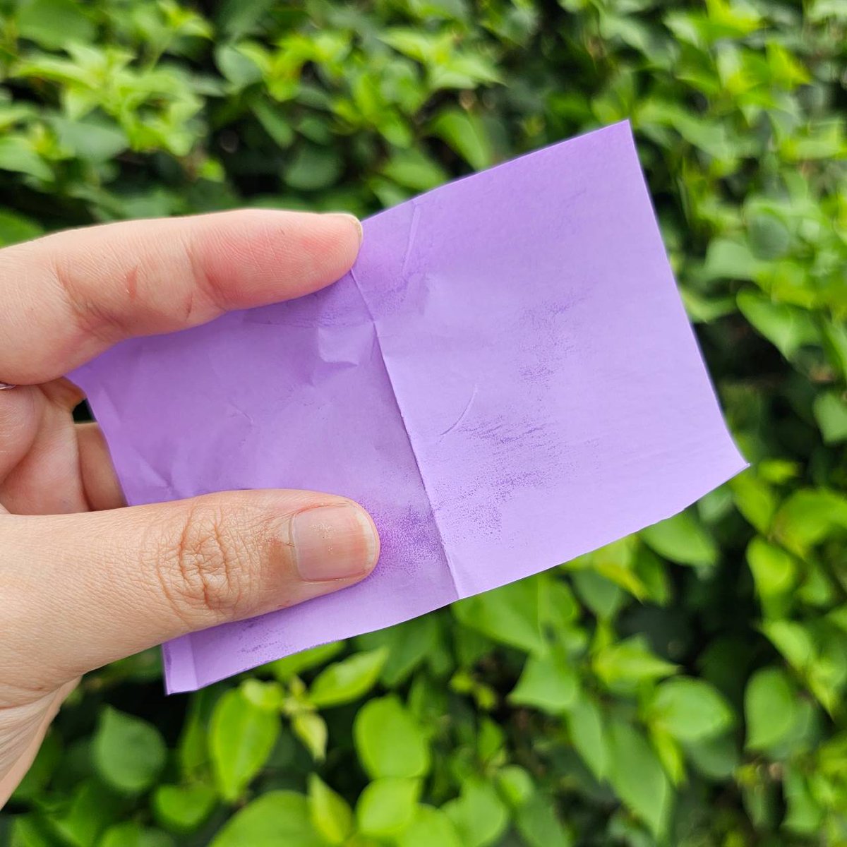 การ์นิเย่ เค้าทำถึง มีกันแดดวิตซีเบาผิว🍋 เนื้อเซรั่ม ซึมไวเหมือนไม่ได้ทาเลย เราทดสอบแล้วหน้าไม่เหนียวเหนอะหนะ แดดแรงแค่ไหนเราก็ไม่กลัว 🔆เพราะเค้ามี SPF 50+PA++++ ป้องกันแดดมั่นใจแน่นอน เดะต้องไปตุนเพิ่มแล้ว 💁‍♀️
#ตัวจริงกันแดดวิตซีเบาผิว #GarnierThailand #skincare