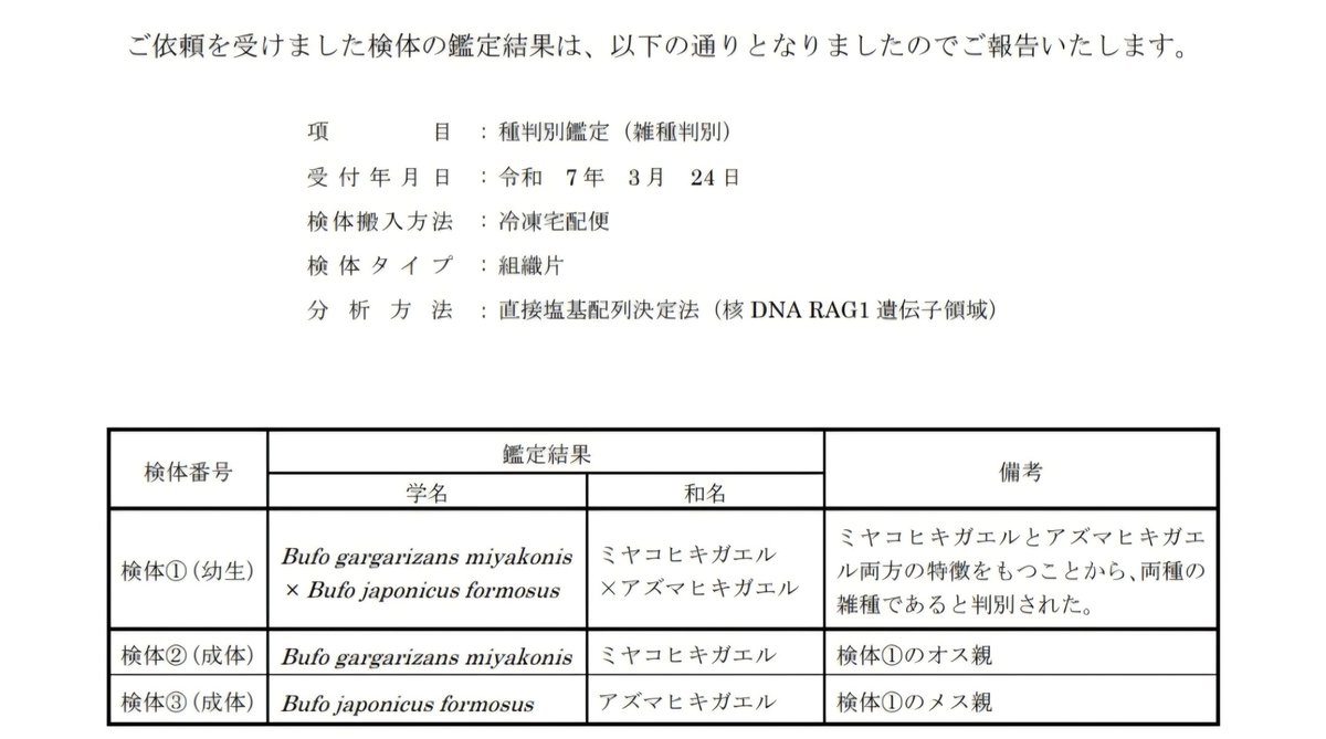 【DNA鑑定結果】の一部のみ
(正式な書面全文は対面販売時にのみ閲覧できます)

アズマのア+ミヤコのヤコで
アヤコヒキガエル