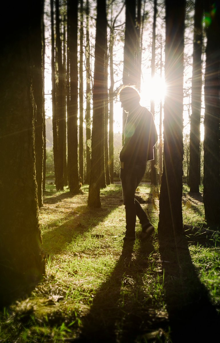 Let’s take a moment to appreciate the trees that give us oxygen, shelter, and beauty. 

🌳 Today is a reminder that the care we give to our environment also nurtures the well-being of future generations.

#ArborDay #GreenerFuture #NatureLovers