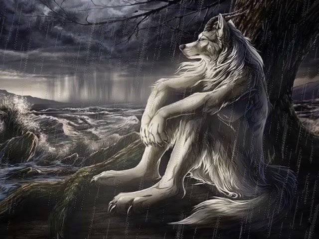 h (@cakal_cokerten) on Twitter photo 