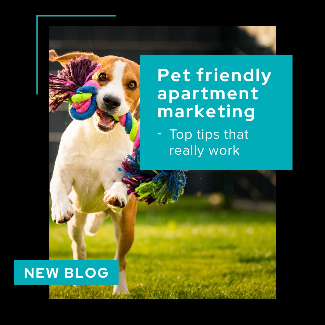 Pet-friendly properties attract more renters—but how do you make your community stand out? Our latest blog explores top marketing strategies to connect with pet owners, from tailored amenities to engaging promotions. 🐾

📲 primary360stg.wpenginepowered.com/pet-friendly-a…

#Primary360
